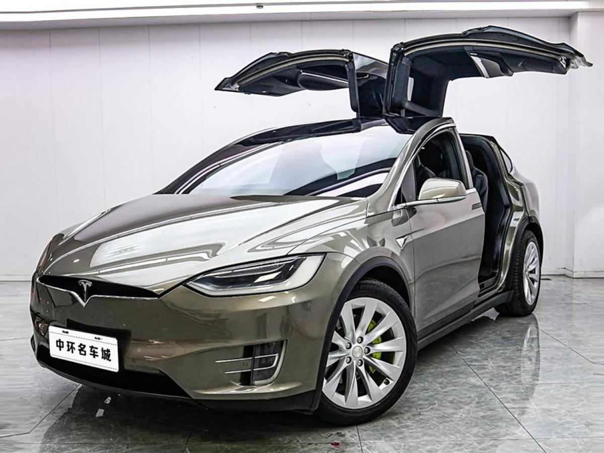 特斯拉 Model X  2016款 Model X 60D圖片