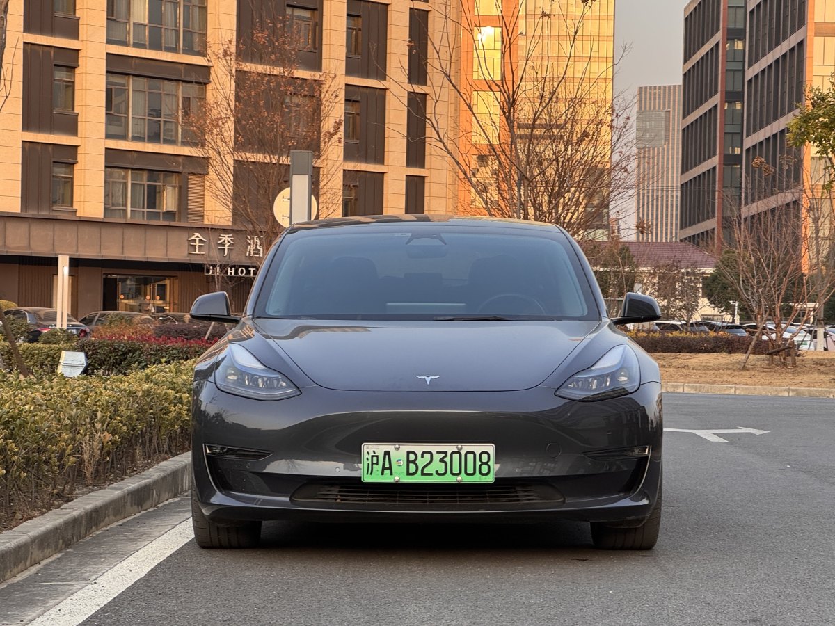 特斯拉 Model 3  2019款 Performance高性能全輪驅(qū)動版圖片