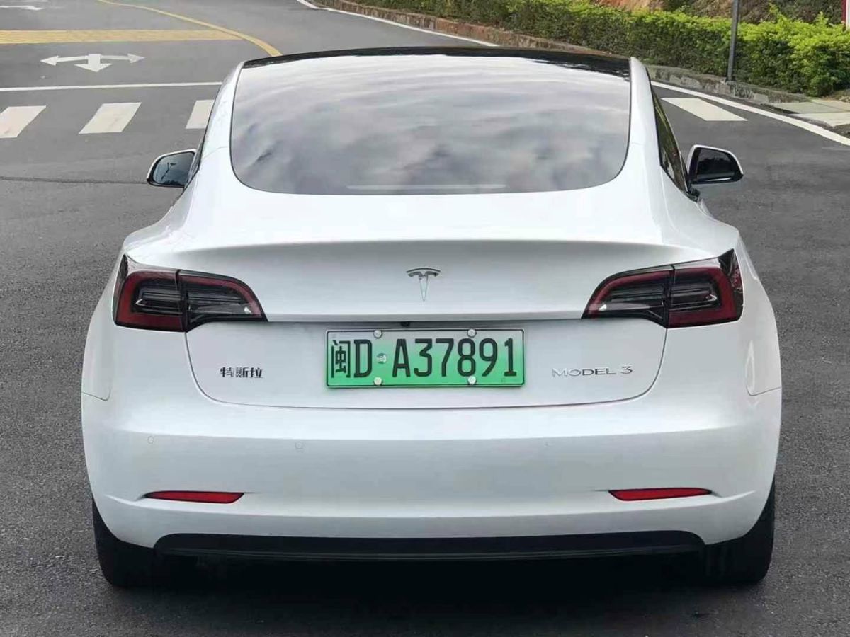 特斯拉 Model S  2023款 三電機(jī)全輪驅(qū)動(dòng) Plaid版圖片