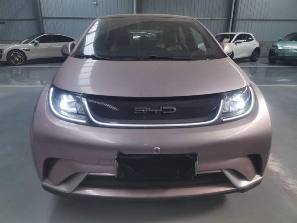 比亞迪 海豚  2021款 405km 時(shí)尚版圖片