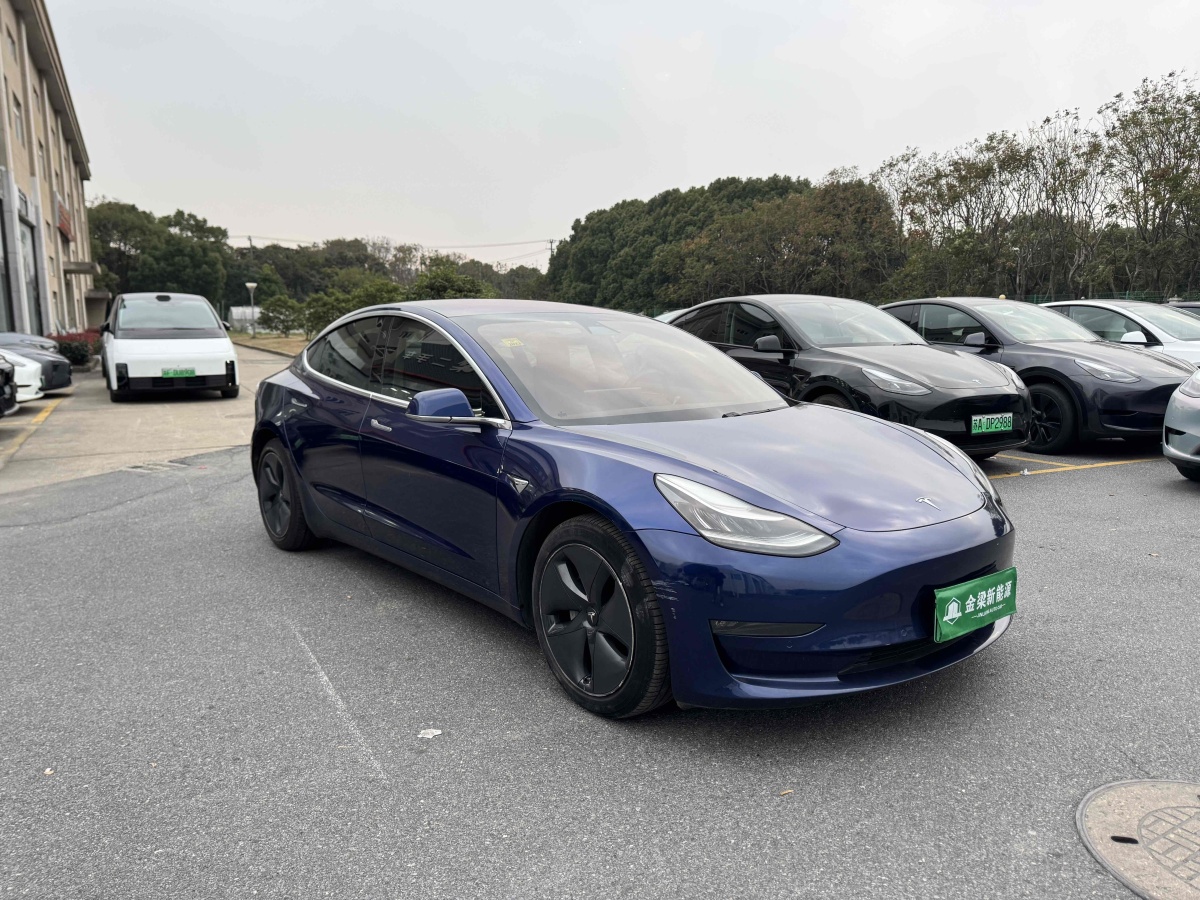 特斯拉 Model 3  2019款 長續(xù)航全輪驅(qū)動版圖片