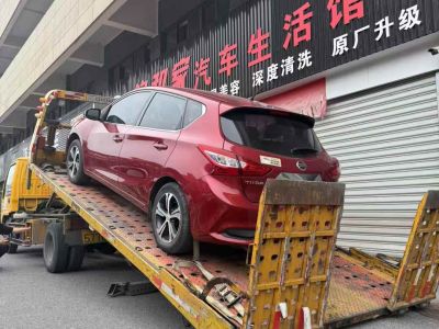 2020年1月 日產(chǎn) 騏達(dá) 1.6L CVT酷動(dòng)版圖片