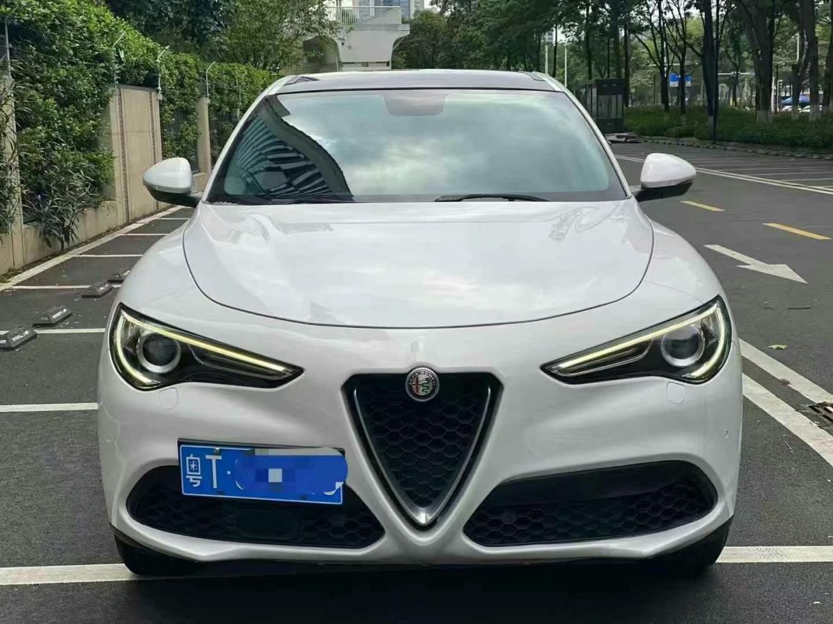 豐田 埃爾法  2019款  雙擎 2.5L 尊貴版圖片