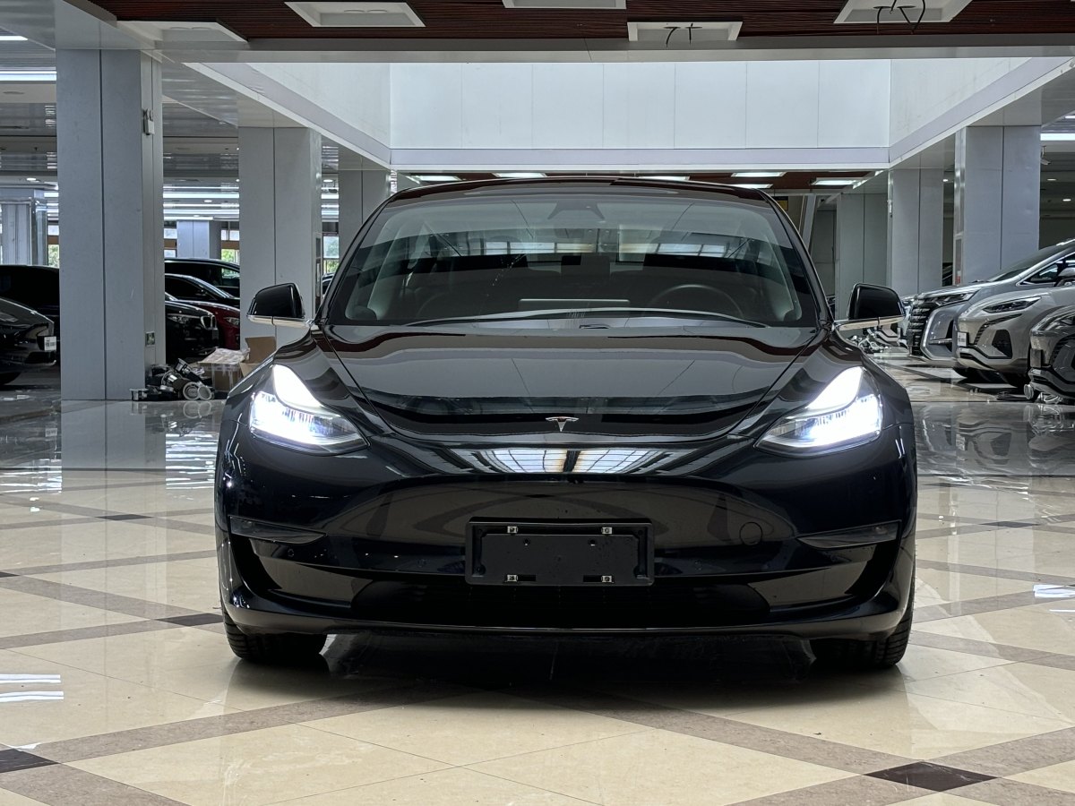 特斯拉 Model 3  2019款 長續(xù)航全輪驅(qū)動版圖片