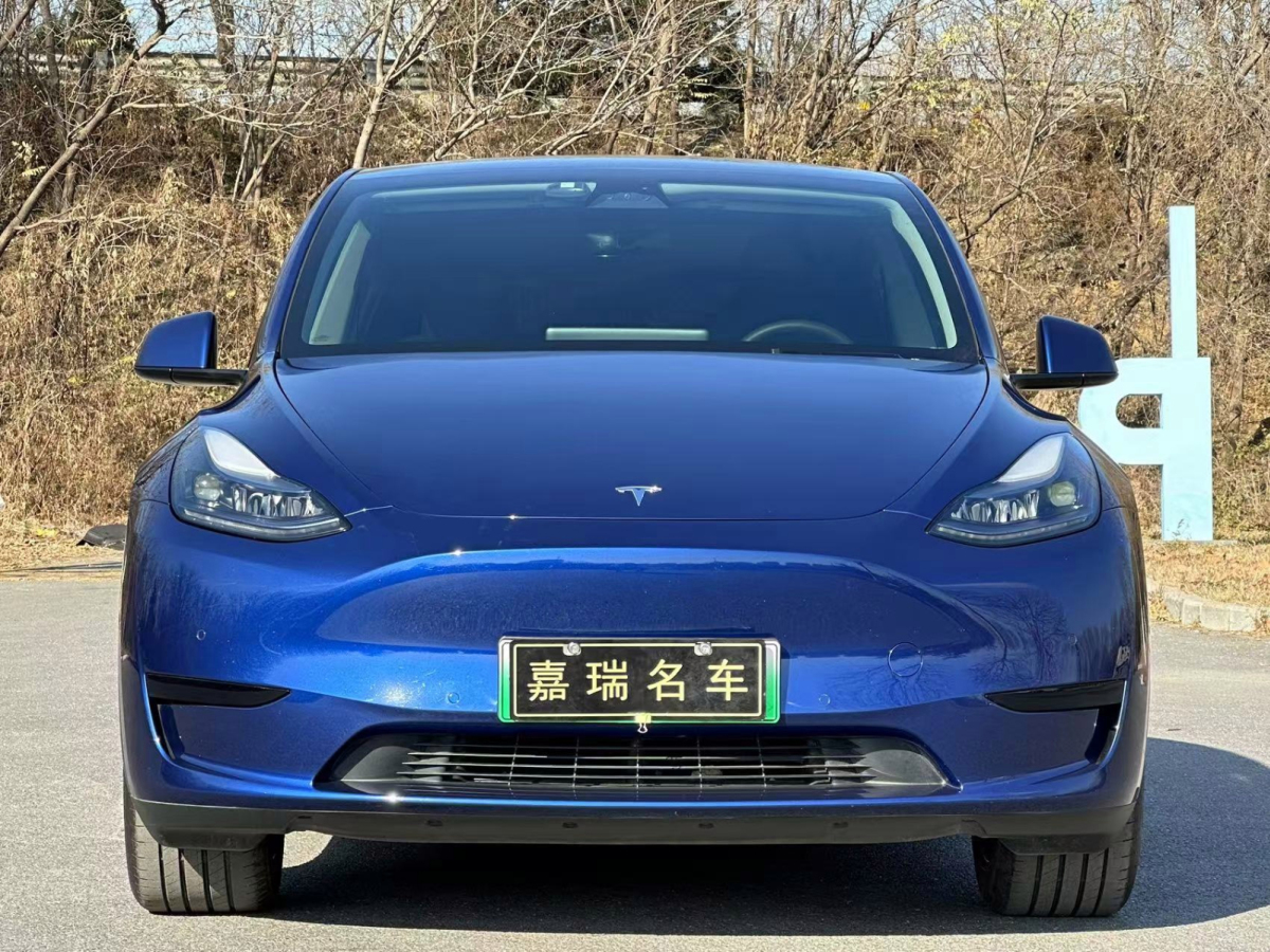 特斯拉 Model Y 24款 標(biāo)準(zhǔn)續(xù)航 后輪驅(qū)動(dòng)版圖片