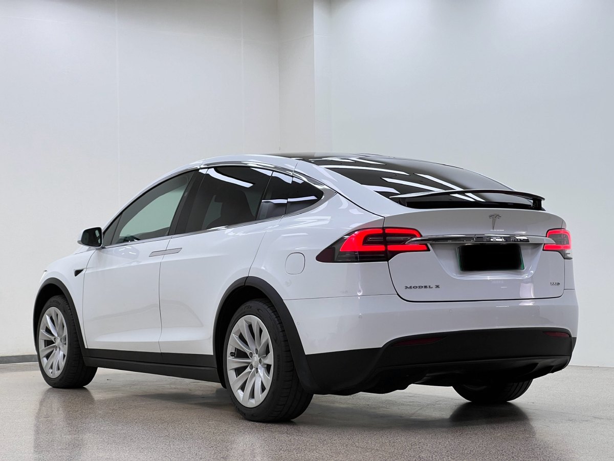 2019年3月特斯拉 Model X  2017款 Model X 100D 長續(xù)航版