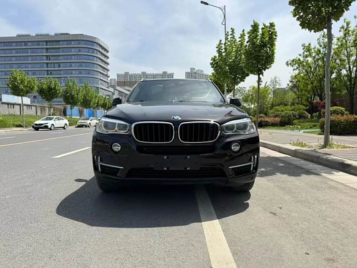 寶馬 寶馬X5  2014款 xDrive35i 領(lǐng)先型圖片