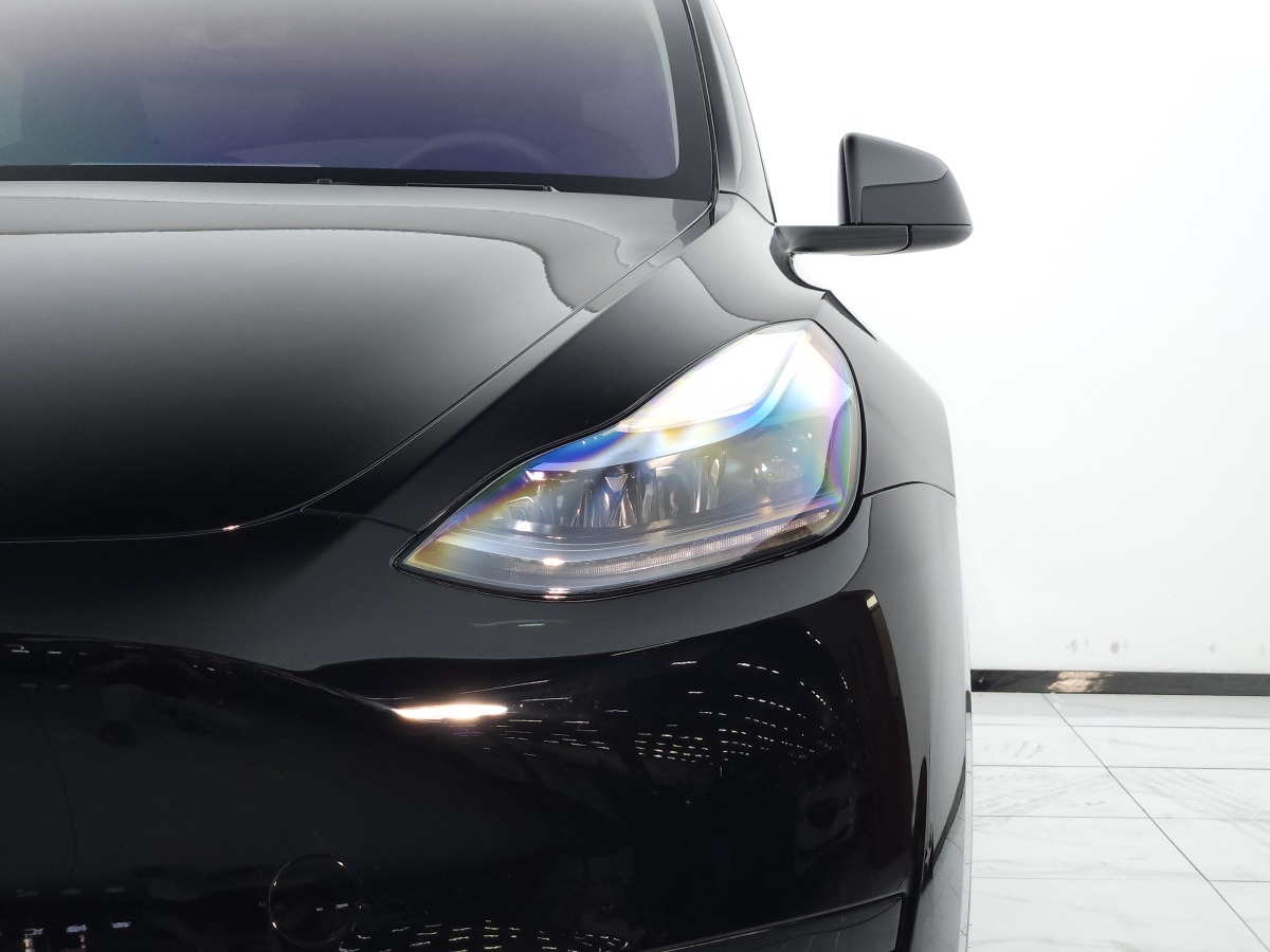 特斯拉 Model Y  2020款 改款 長續(xù)航后輪驅(qū)動版圖片