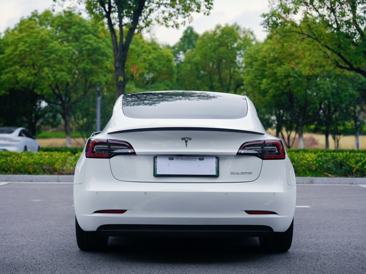 特斯拉 Model 3  2019款 Performance高性能全輪驅(qū)動(dòng)版圖片