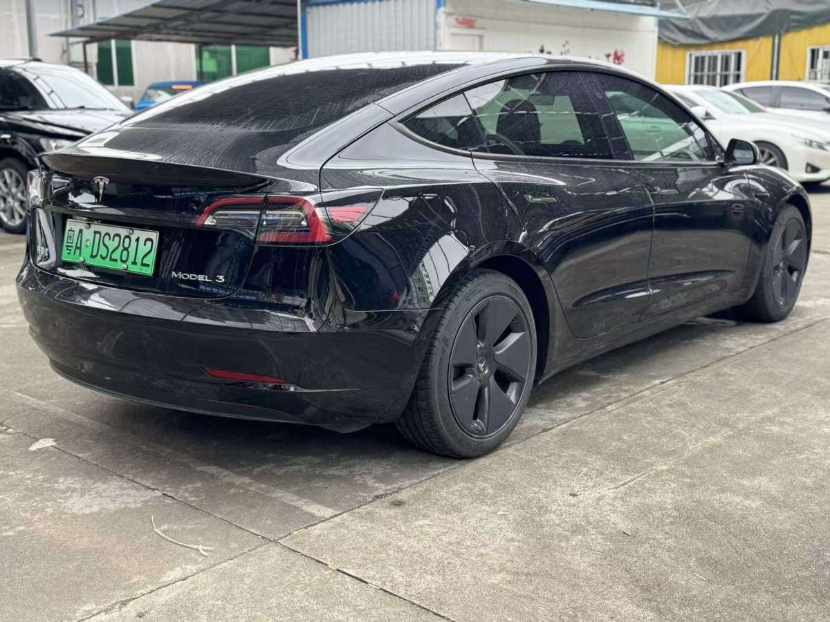 特斯拉 Model 3  2019款 標(biāo)準(zhǔn)續(xù)航后驅(qū)升級版圖片