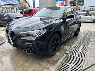 2017年8月 阿爾法·羅密歐 Stelvio 2.0T 200HP 精英版圖片