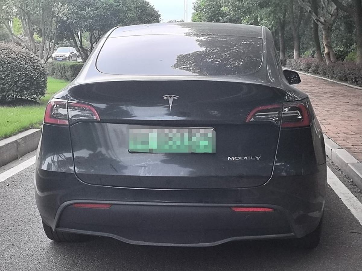 特斯拉 Model 3  2021款 改款 標準續(xù)航后驅(qū)升級版圖片