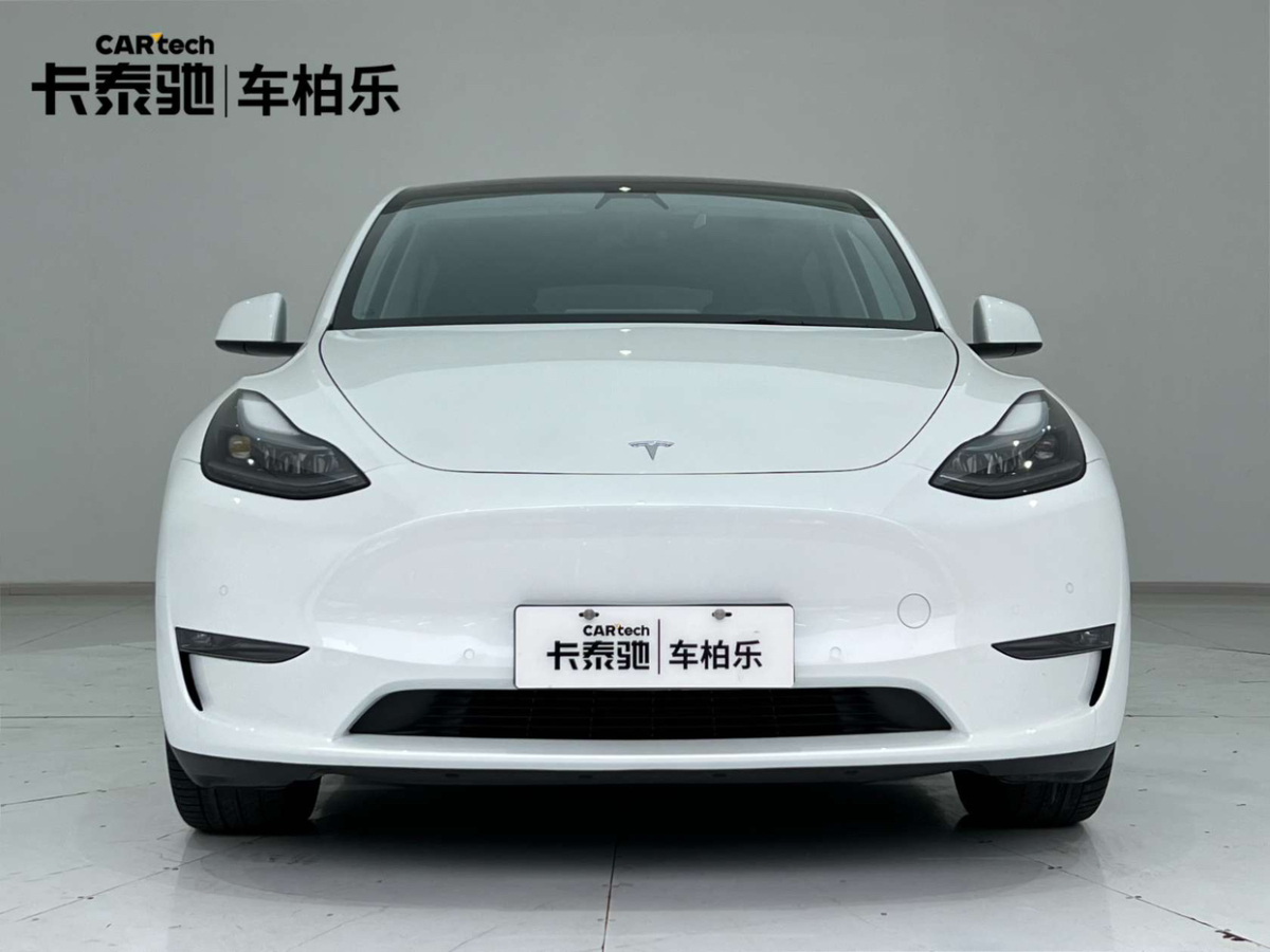 特斯拉 Model 3  2021款 標準續(xù)航后驅版圖片