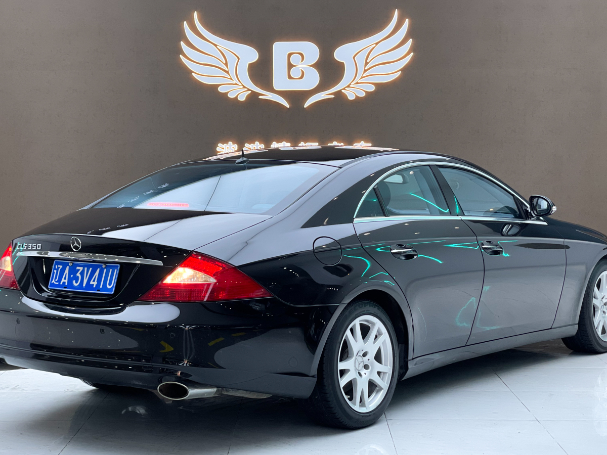 奔馳 奔馳CLS級  2009款 CLS 350圖片