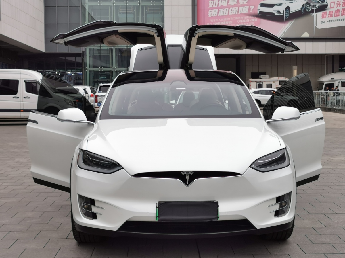 特斯拉 Model X  2017款 Model X 100D 長(zhǎng)續(xù)航版圖片