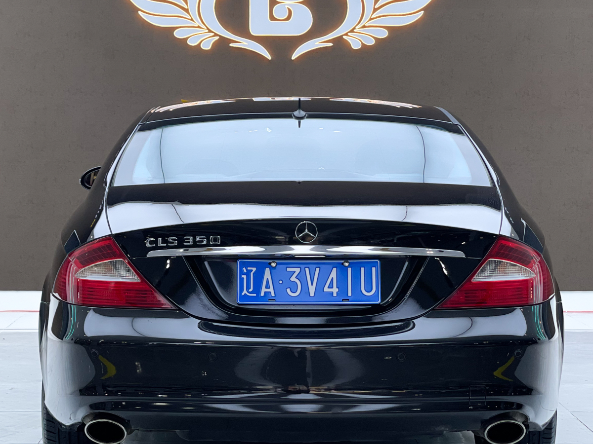 奔馳 奔馳CLS級  2009款 CLS 350圖片