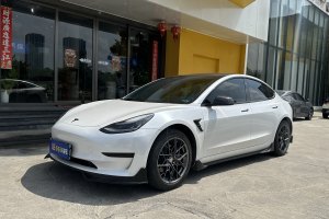 Model 3 特斯拉 标准续航后驱升级版