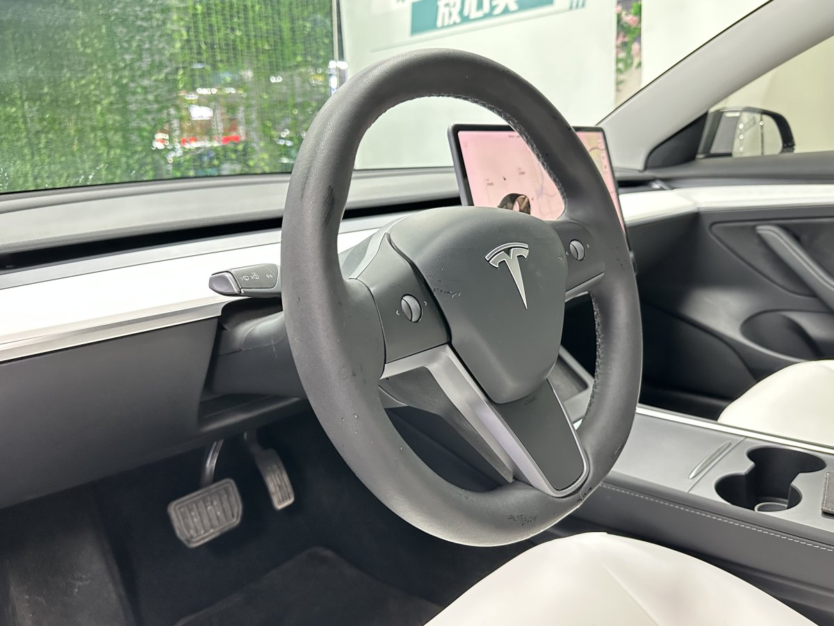 特斯拉 Model 3  2021款 標(biāo)準(zhǔn)續(xù)航后驅(qū)升級版 3D6圖片