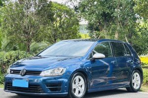高爾夫 大眾 1.4TSI 自動(dòng)舒適型