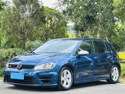 2014年8月 大眾 高爾夫 1.4TSI 自動(dòng)舒適型圖片