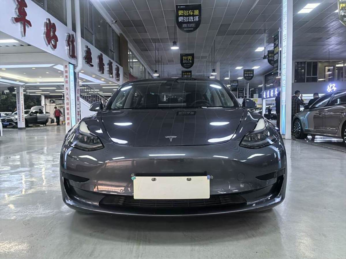 特斯拉 Model 3  2021款 改款 標(biāo)準(zhǔn)續(xù)航后驅(qū)升級(jí)版圖片