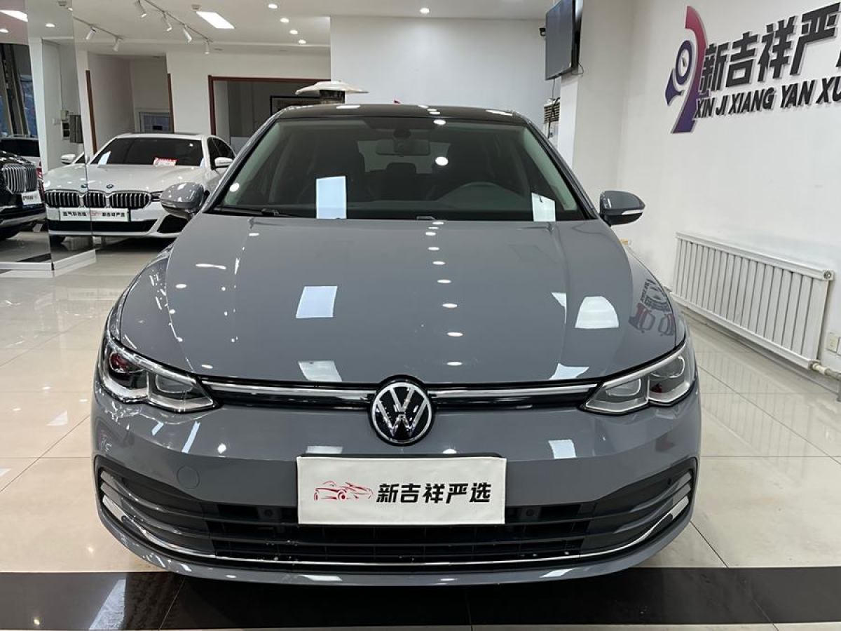 大眾 高爾夫  2021款 280TSI DSG Pro圖片