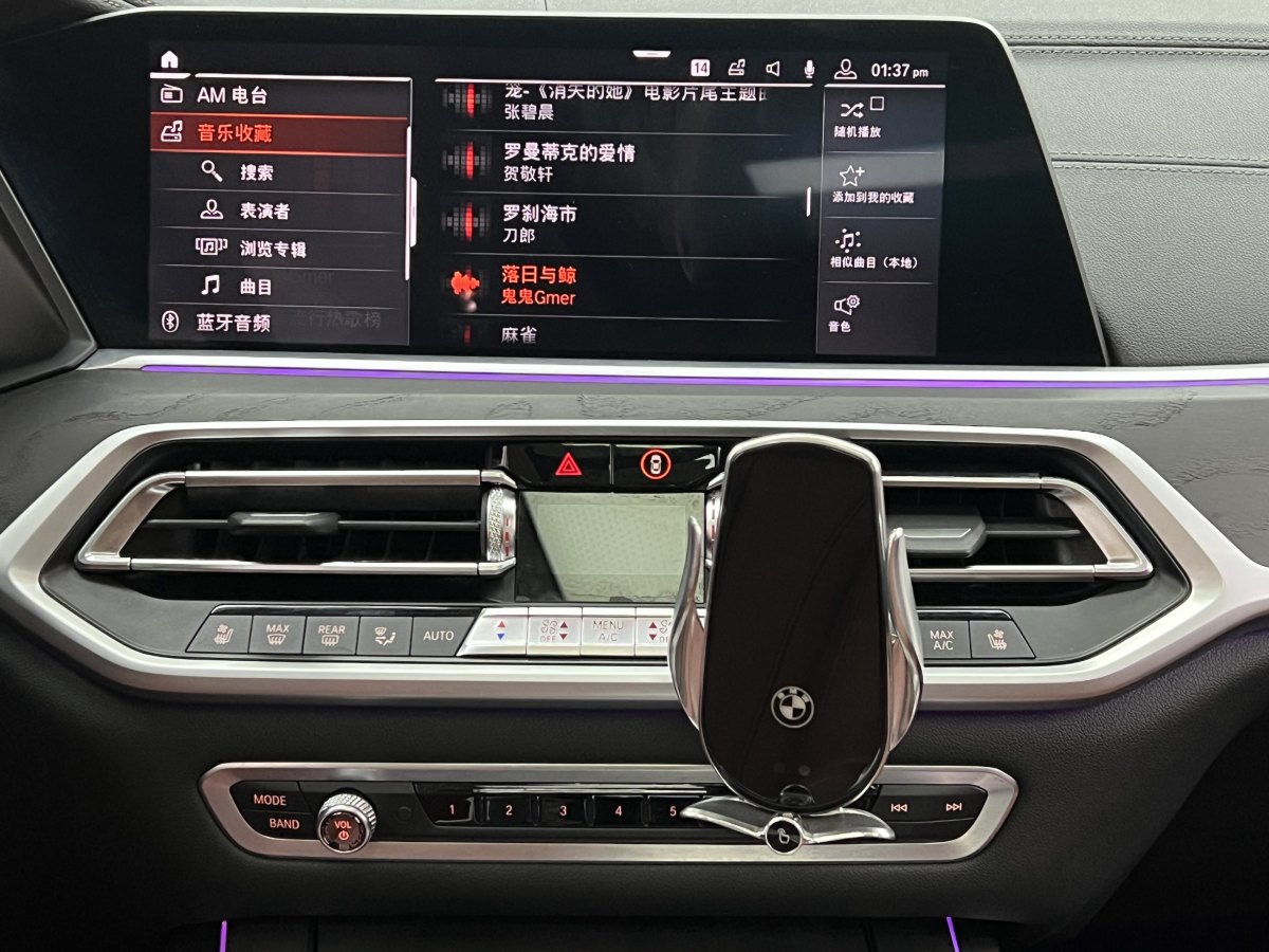 寶馬 寶馬X7  2019款  xDrive40i 領(lǐng)先型豪華套裝圖片