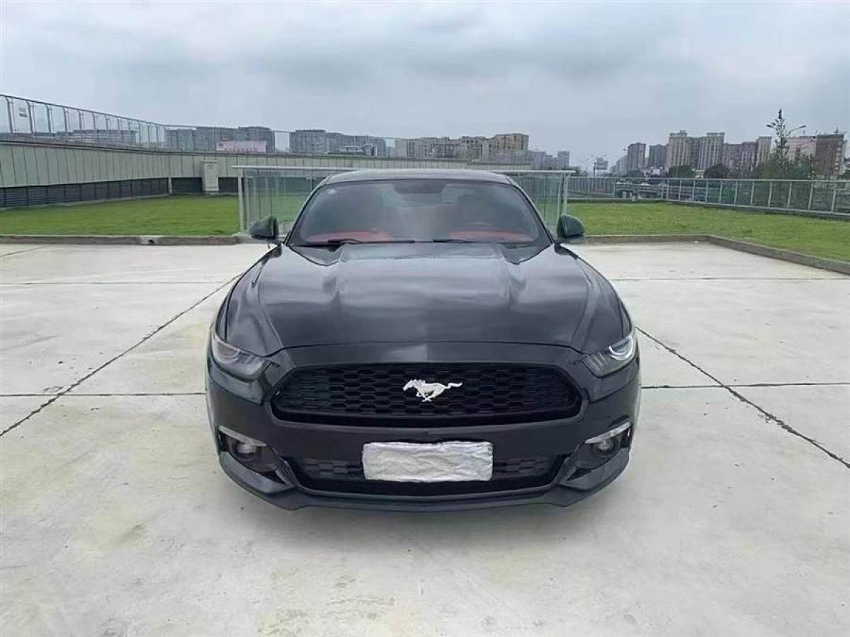 福特 Mustang  2015款 2.3T 性能版圖片