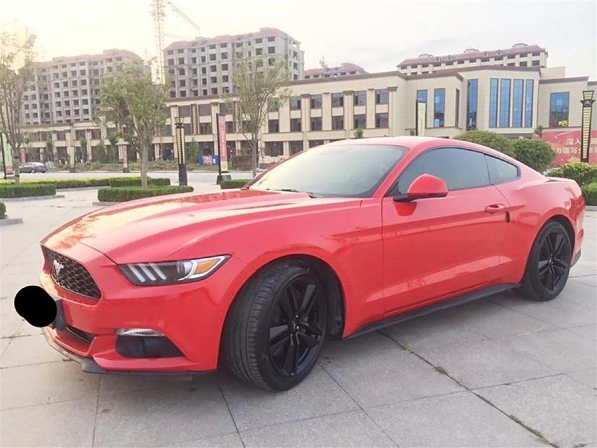 福特 Mustang  2015款 2.3T 性能版圖片