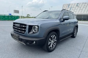 哈弗大狗 哈弗 1.5T DCT兩驅(qū)邊牧版