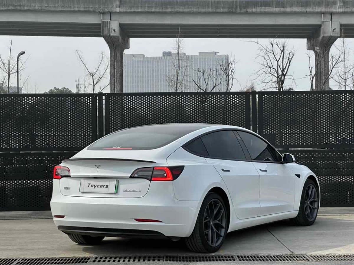 特斯拉 Model 3  2021款 改款 Performance高性能全輪驅(qū)動版圖片