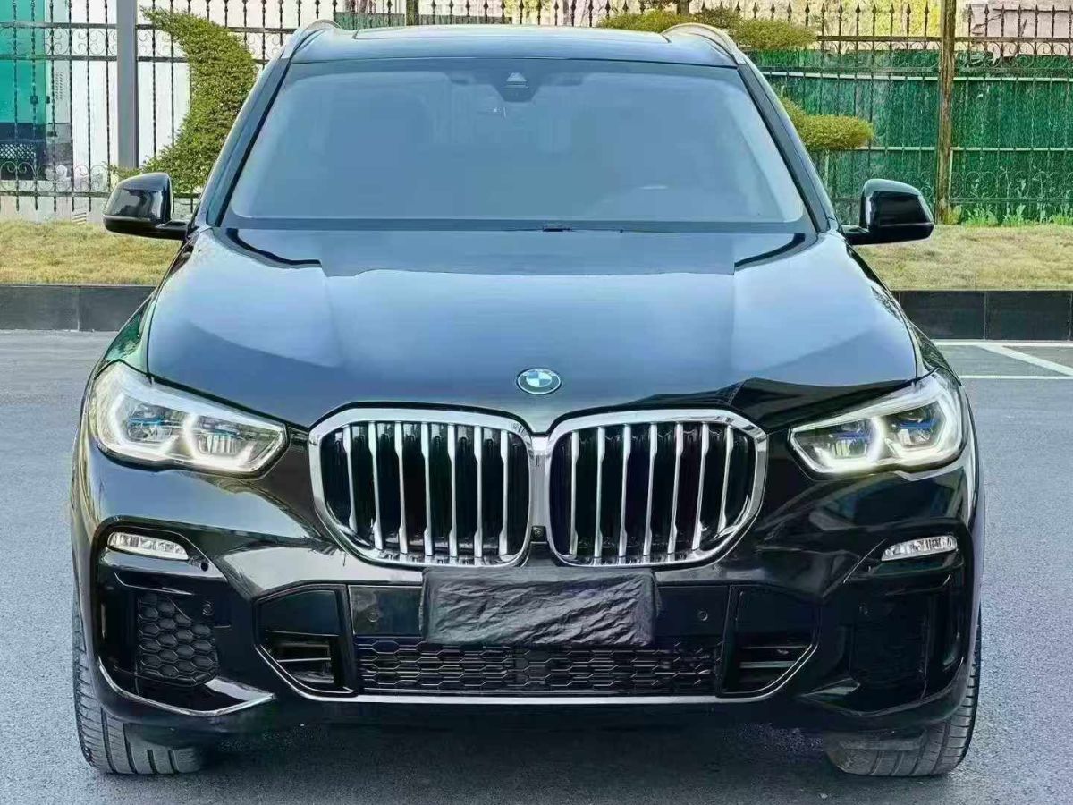 寶馬 寶馬X5  2021款 xDrive30i X設(shè)計(jì)套裝圖片
