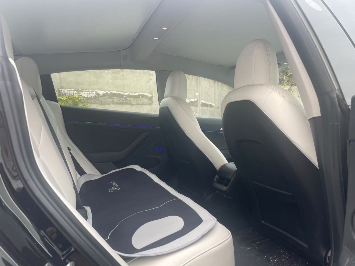 特斯拉 Model 3  2019款 標(biāo)準(zhǔn)續(xù)航后驅(qū)升級版圖片