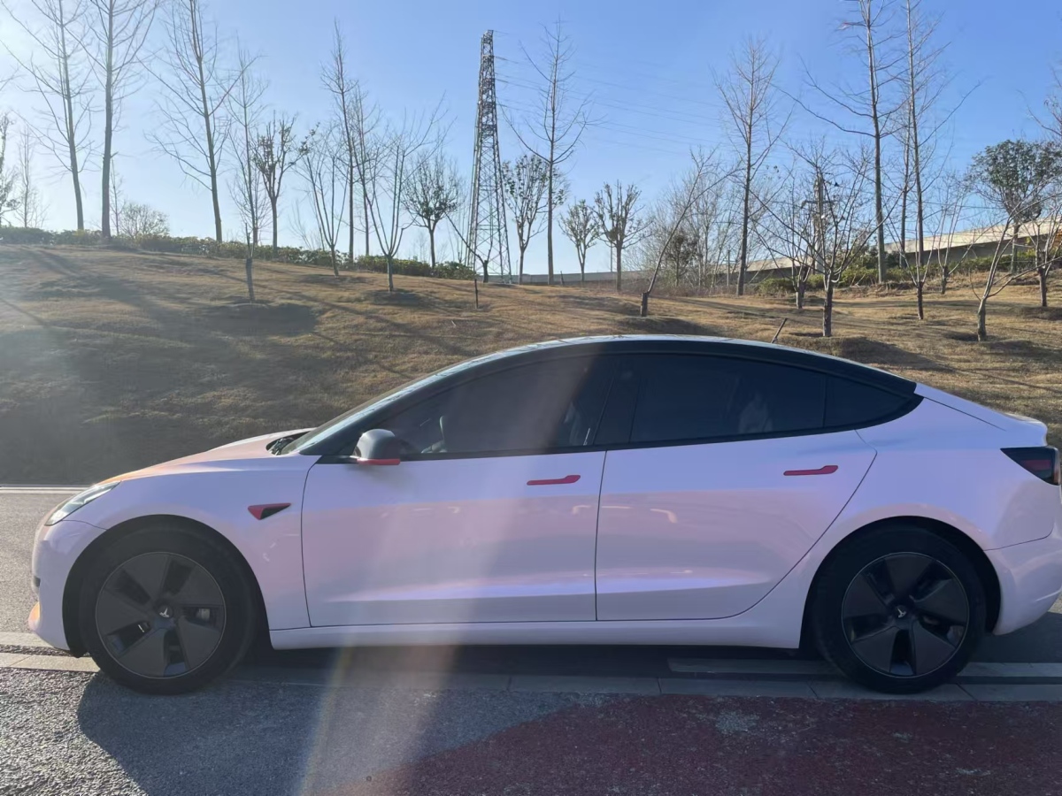 特斯拉 Model 3  2021款 標(biāo)準(zhǔn)續(xù)航后驅(qū)升級版 3D6圖片