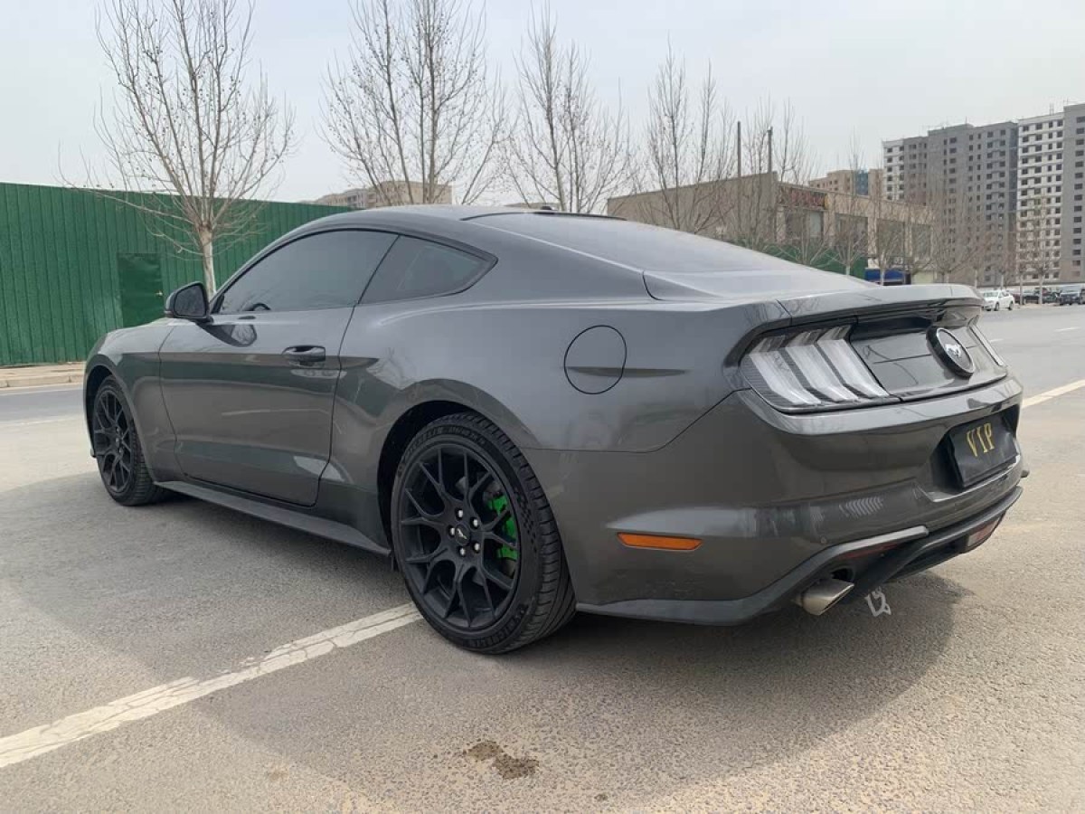 福特 Mustang  2020款 2.3L EcoBoost圖片