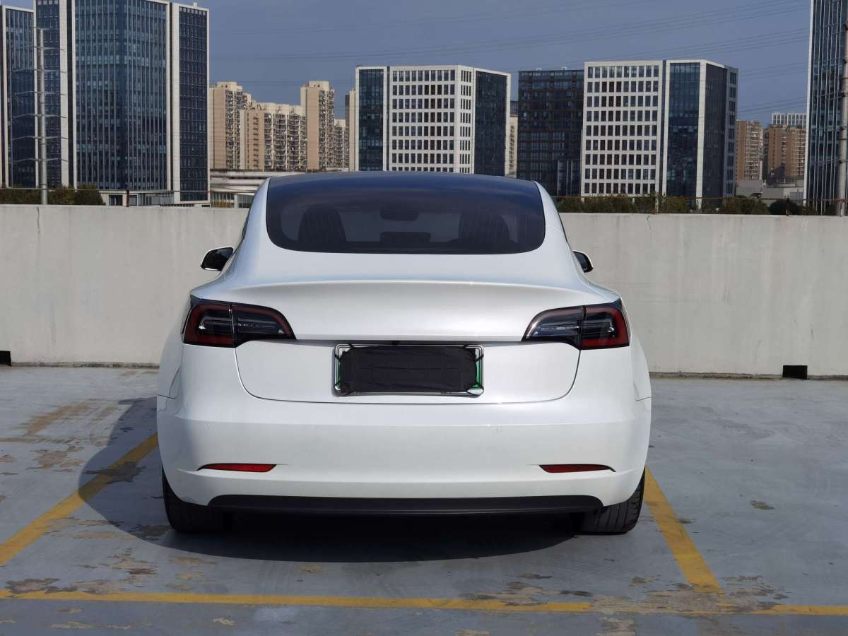 特斯拉 Model 3  2019款 標(biāo)準(zhǔn)續(xù)航后驅(qū)升級(jí)版圖片