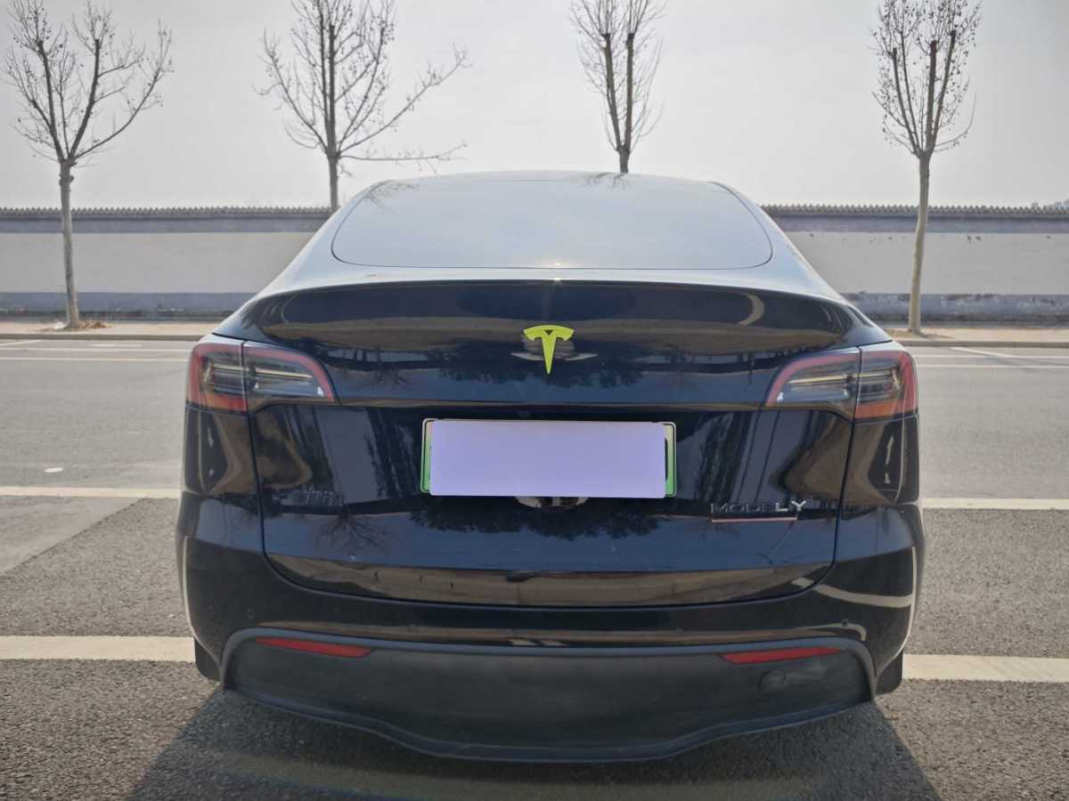 2023年11月特斯拉 Model 3  2023款 長續(xù)航煥新版 雙電機全輪驅(qū)動