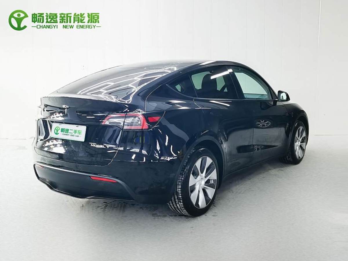 特斯拉 Model 3  2020款 改款 長續(xù)航后輪驅(qū)動(dòng)版圖片