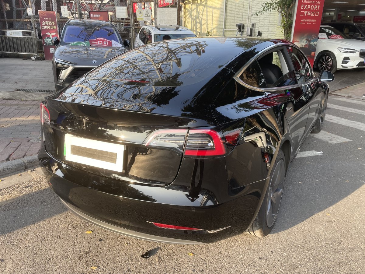 特斯拉 Model 3  2020款 改款 長(zhǎng)續(xù)航后輪驅(qū)動(dòng)版圖片