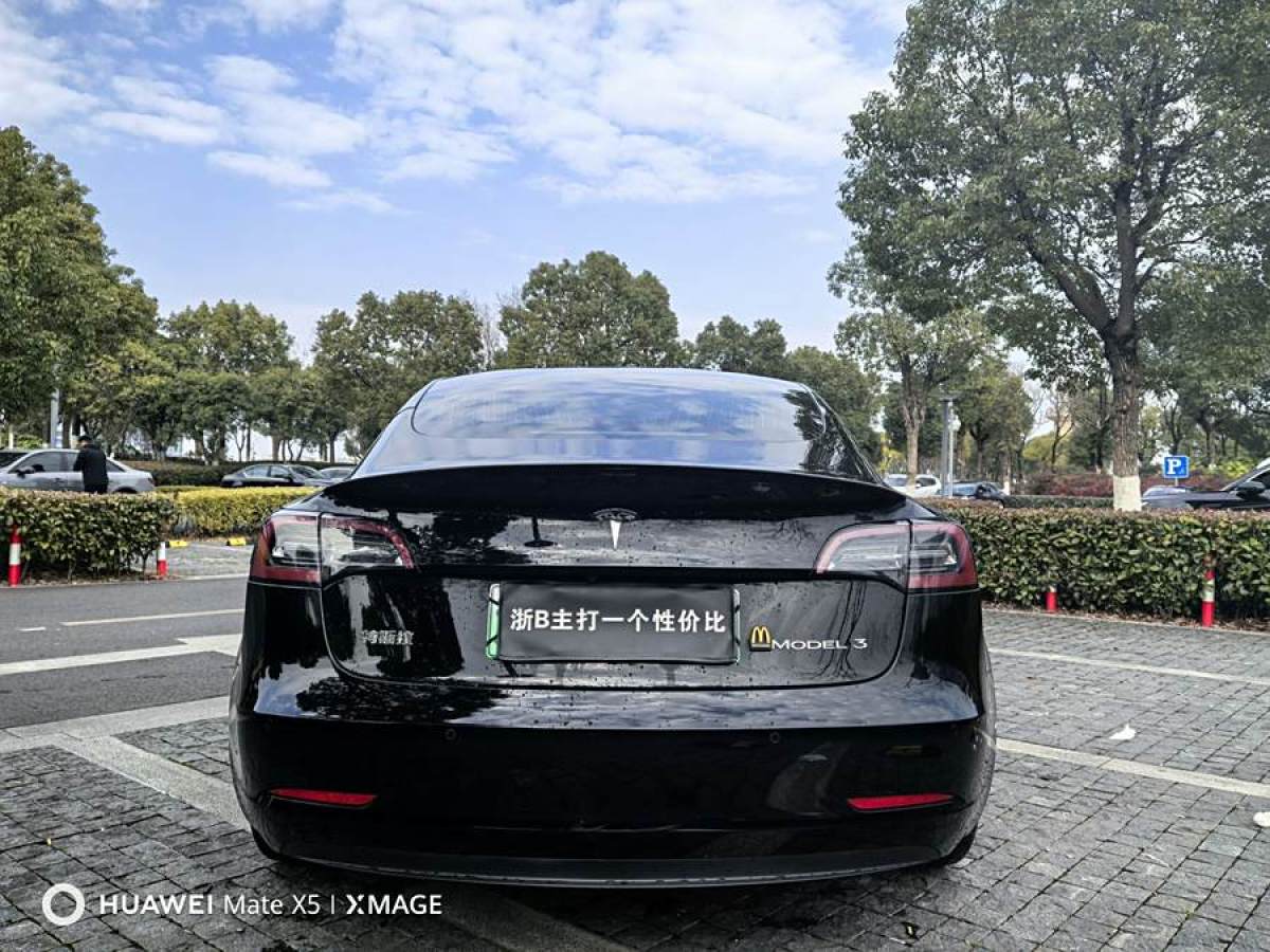 特斯拉 Model 3  2019款 標(biāo)準(zhǔn)續(xù)航后驅(qū)升級版圖片