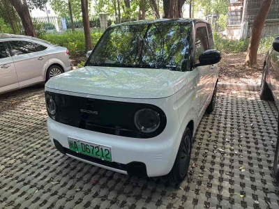 2023年6月 吉利 熊貓mini 200km 耐力熊圖片