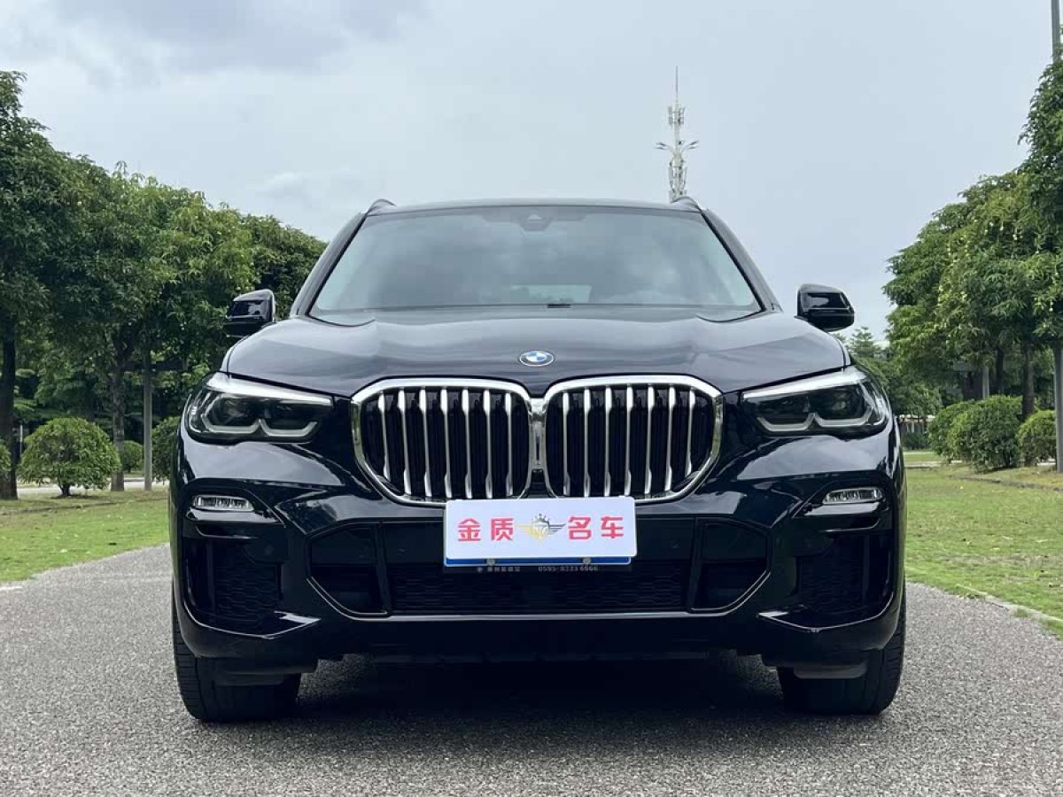 寶馬 寶馬X5  2019款 xDrive30i M運(yùn)動(dòng)套裝圖片