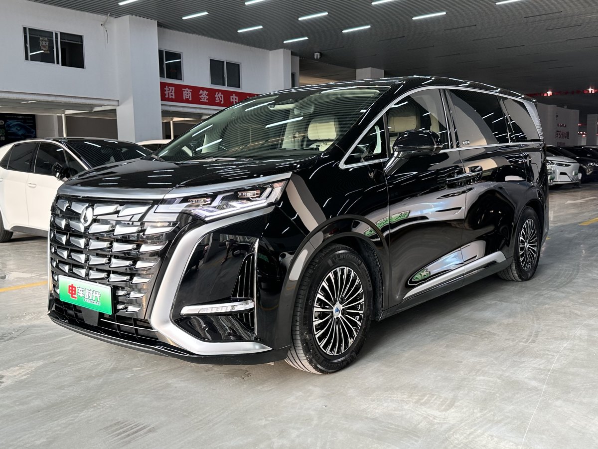 2024年6月騰勢(shì) 騰勢(shì)D9  2024款 DM-i 980 四驅(qū)尊貴型