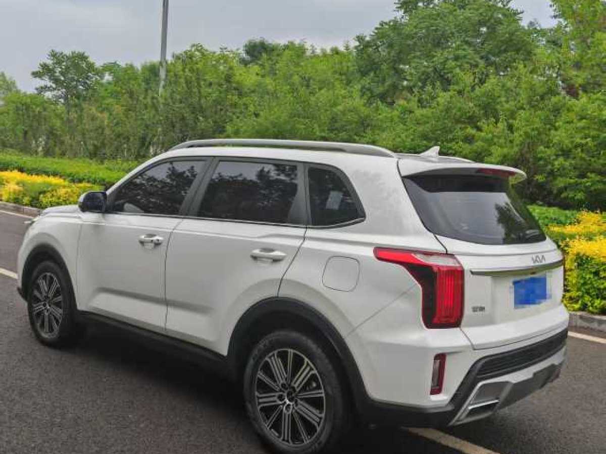 起亞 智跑  2021款 Ace 2.0L 精彩版圖片