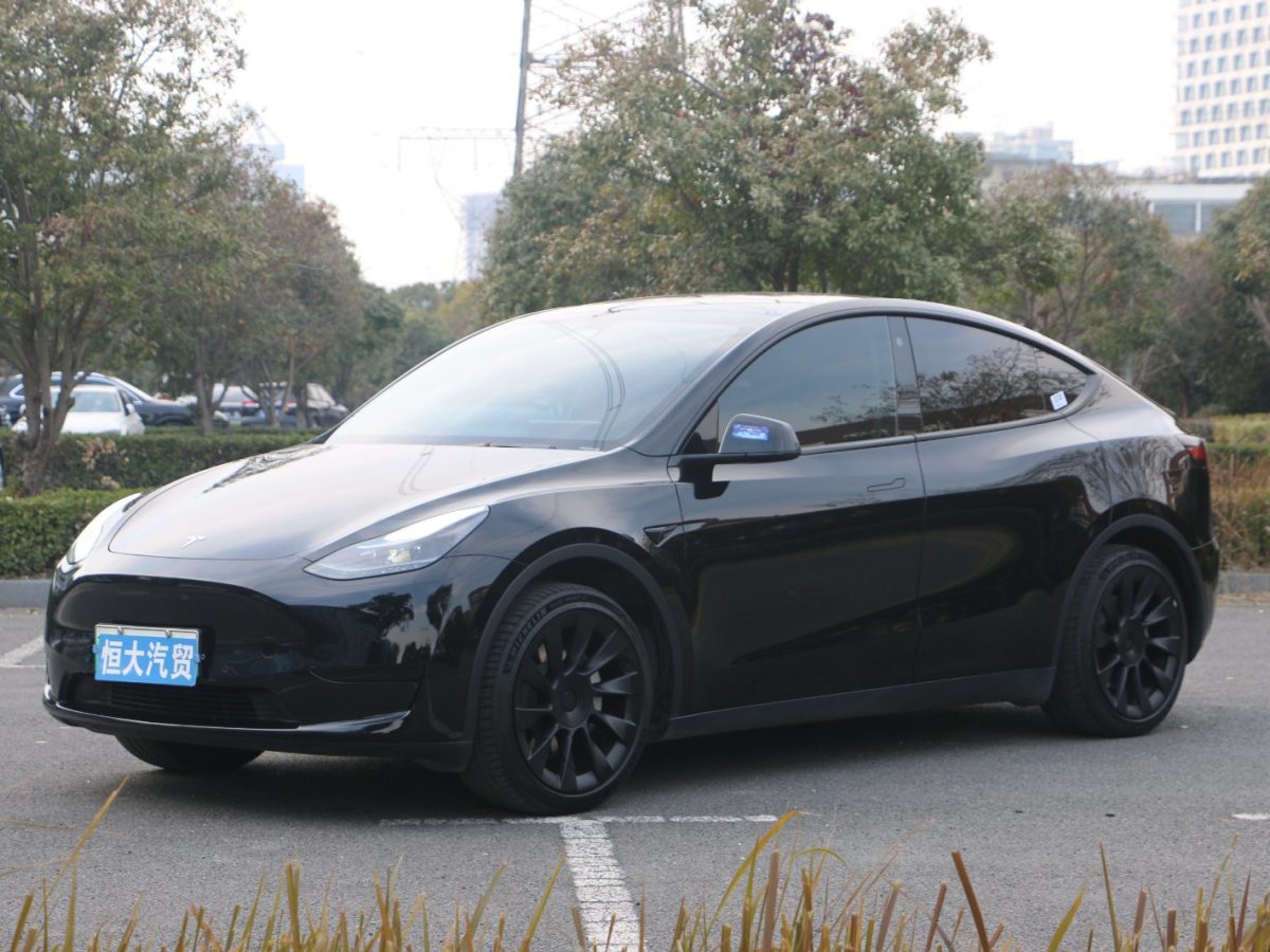 特斯拉 Model Y  2022款 后驅(qū)版圖片