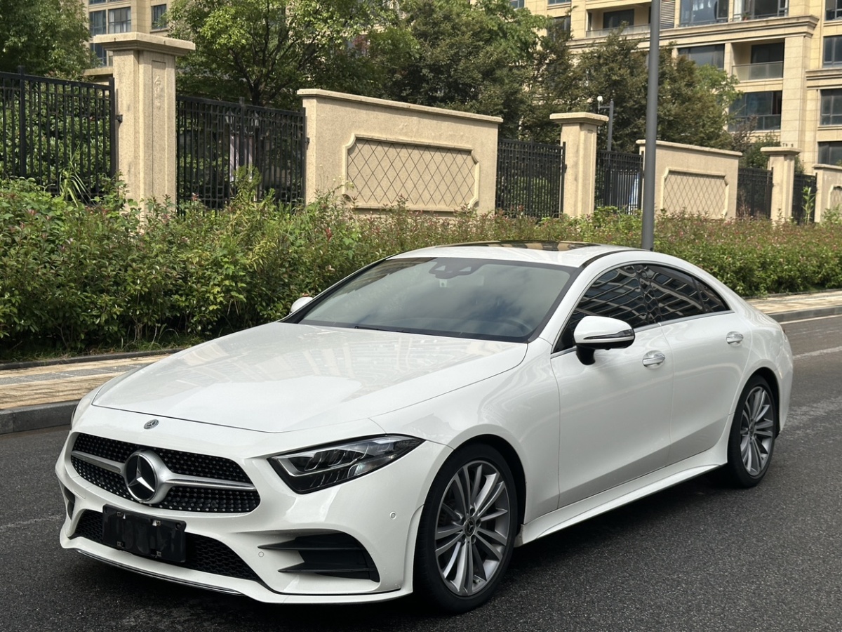 2019年12月奔馳 奔馳CLS級  2020款 CLS 300 豪華型