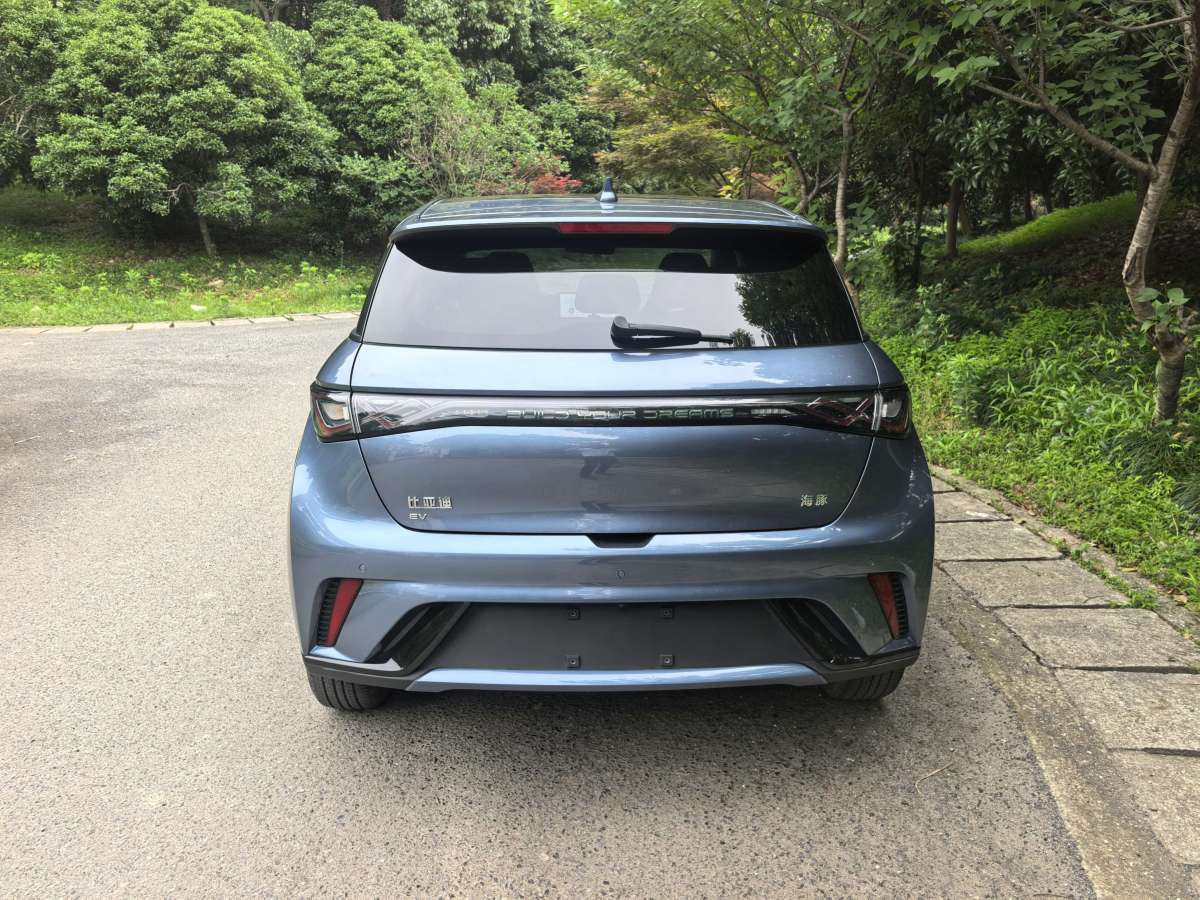 比亞迪 海豚  2024款 榮耀版 420km 時尚版圖片