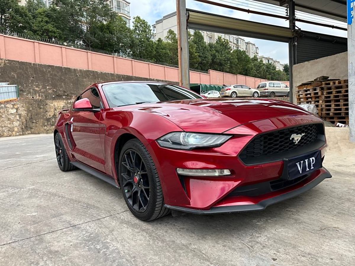 福特 Mustang  2015款 2.3T 50周年紀(jì)念版圖片