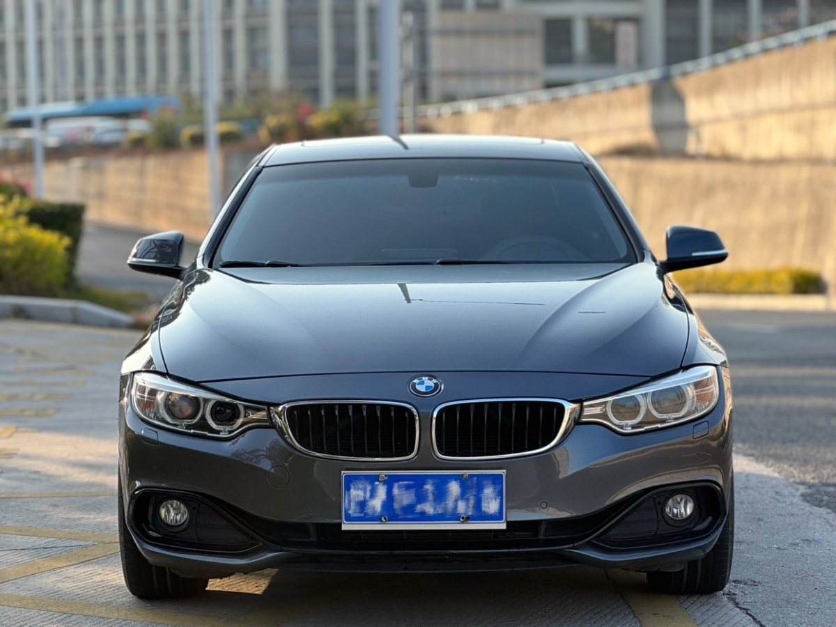 寶馬 寶馬4系  2014款 428i  xDrive Gran Coupe 設(shè)計(jì)套裝型圖片