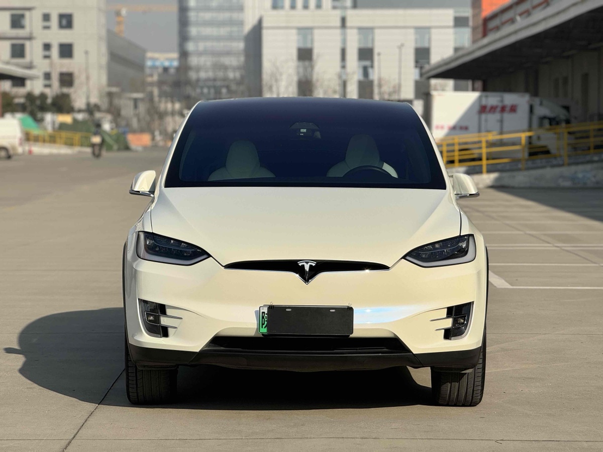 特斯拉 Model X  2017款 Model X 100D 長續(xù)航版圖片